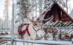 Urlaub im Winter