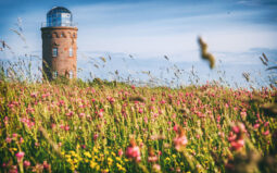 Insel Rügen