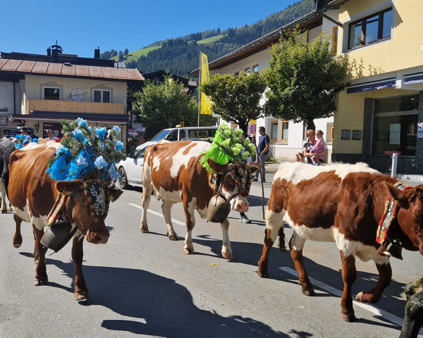 TAGESFAHRT ALMFEST
