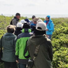 Insel Sylt Reisebericht