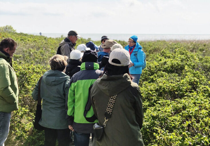 Insel Sylt Reisebericht