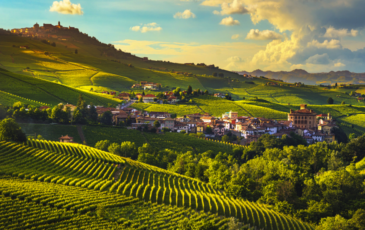 Panorama der Weinberge von Langhe im Piemont, Italien - ©stevanzz - stock.adobe.com
