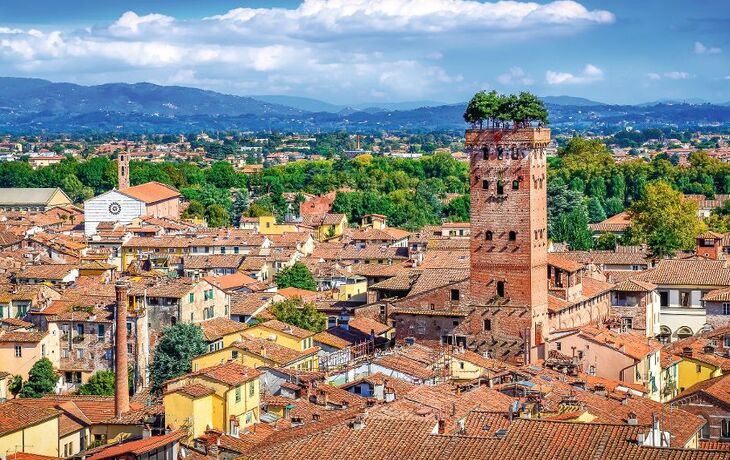 © Martin M303 - Fotolia - Scenic view of Lucca and Guinigi tower