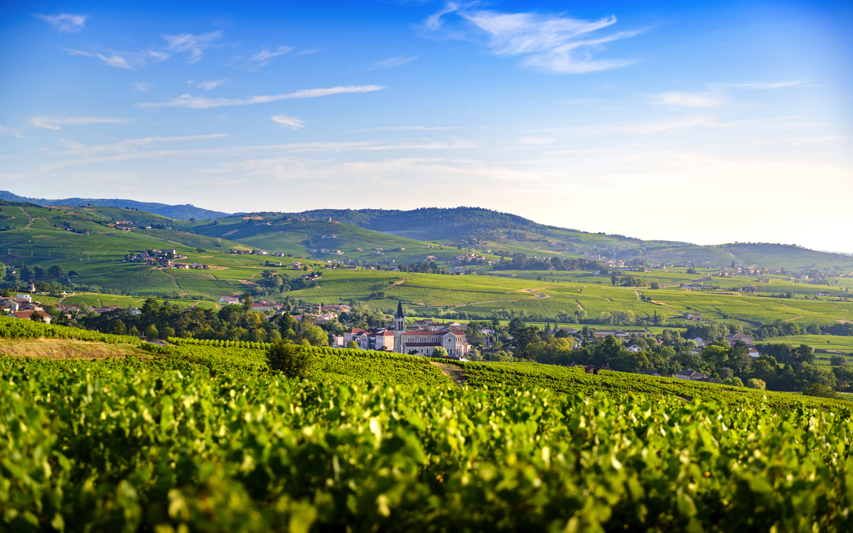 Weinbaugebiet Beaujolais in Frankreich - © Fontaine Gael