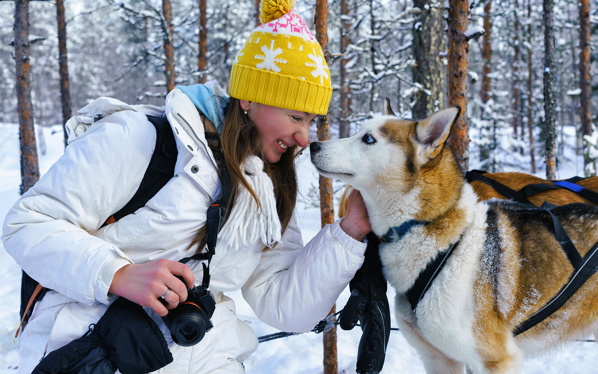 Hundschlitten-Tour in Lappland, Finnland - © Roman Babakin - stock.adobe.com