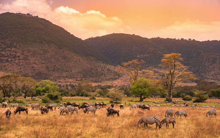 © Simon Dannhauer - stock.adobe.com - Ngorongoro-Kraters