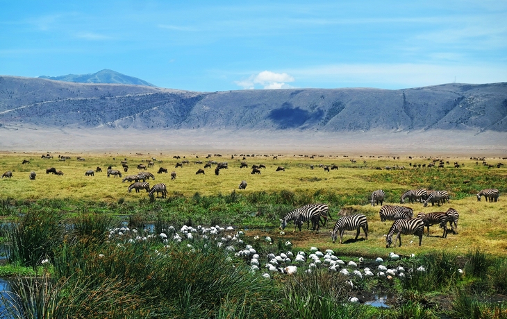 Ngorongoro-Krater - © Pixeltheater - stock.adobe.com