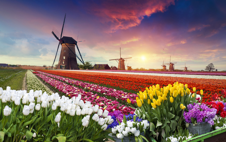 © kishivan - stock.adobe.com - Zaanse Schans in den Niederlanden