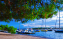 © Sodel Vladyslav - stock.adobe.com