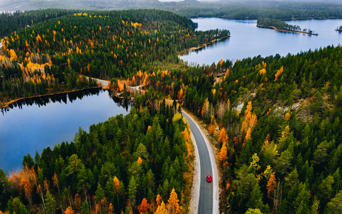 © nblx/Shutterstock