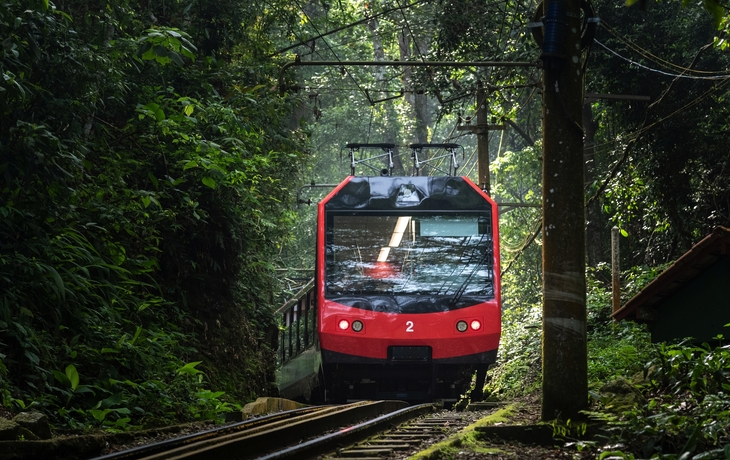 © Cavan-Images/Shutterstock