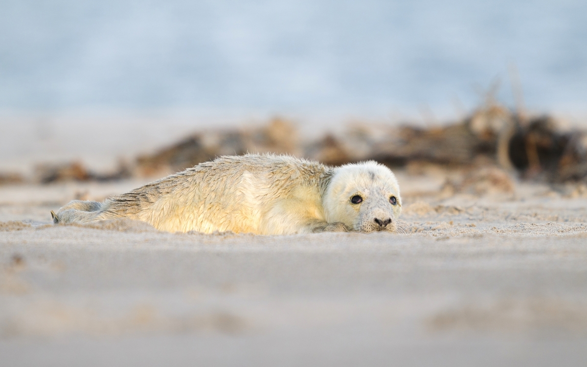 © 2022 Bildagentur Zoonar GmbH/Shutterstock.  