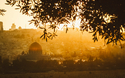 © nayefhammouri - stock.adobe.com