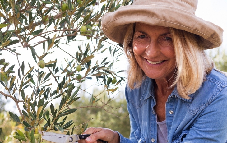 © wavebreak3 - stock.adobe.com - Porträt einer glücklichen Frau, die einen Olivenbaum auf einem Bauernhof beschneidet