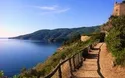 © luzicat - stock.adobe.com