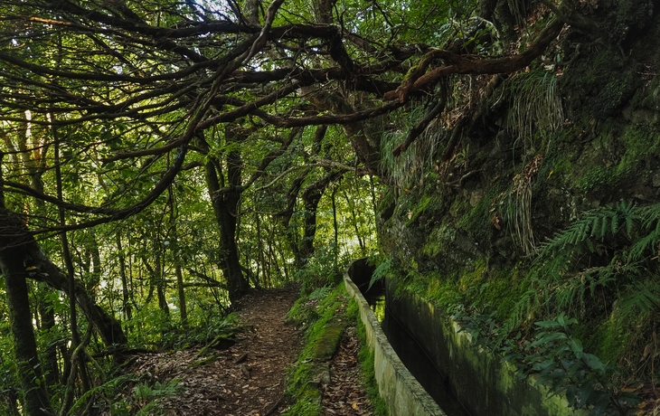 © LifeCollectionPhotography/Shutterstock