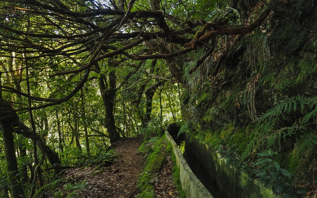 © LifeCollectionPhotography/Shutterstock