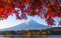 © IamDoctorEgg/Shutterstock
