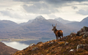 © travelwitness - stock.adobe.com