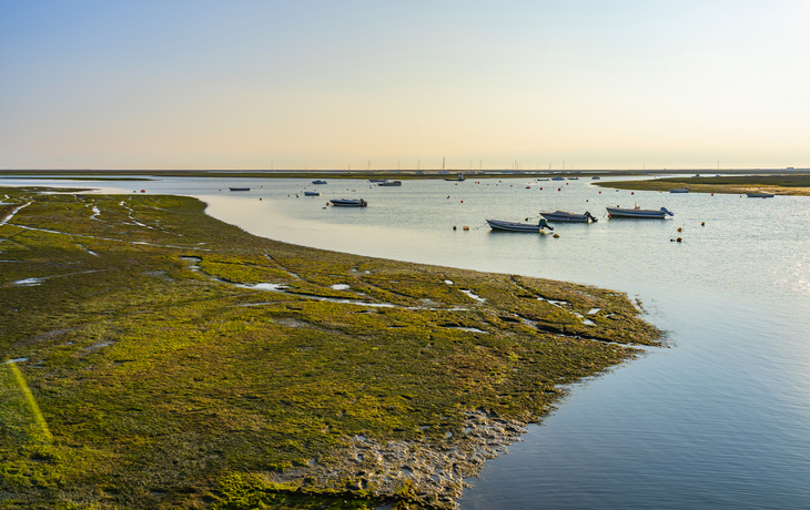© Finn stock/Shutterstock
