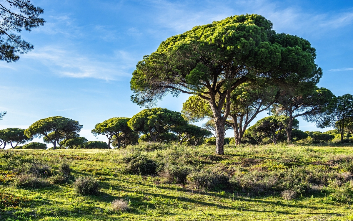 © RudiErnst/Shutterstock