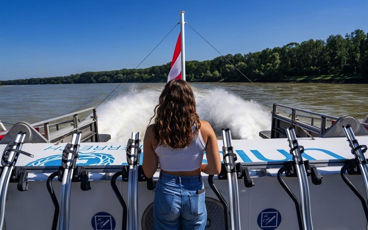 Twin City Liner - © Valerino Creations/Central Danube