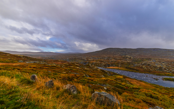 © Kurt-Georg Rabe/Shutterstock