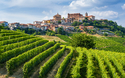 © e55evu - stock.adobe.com