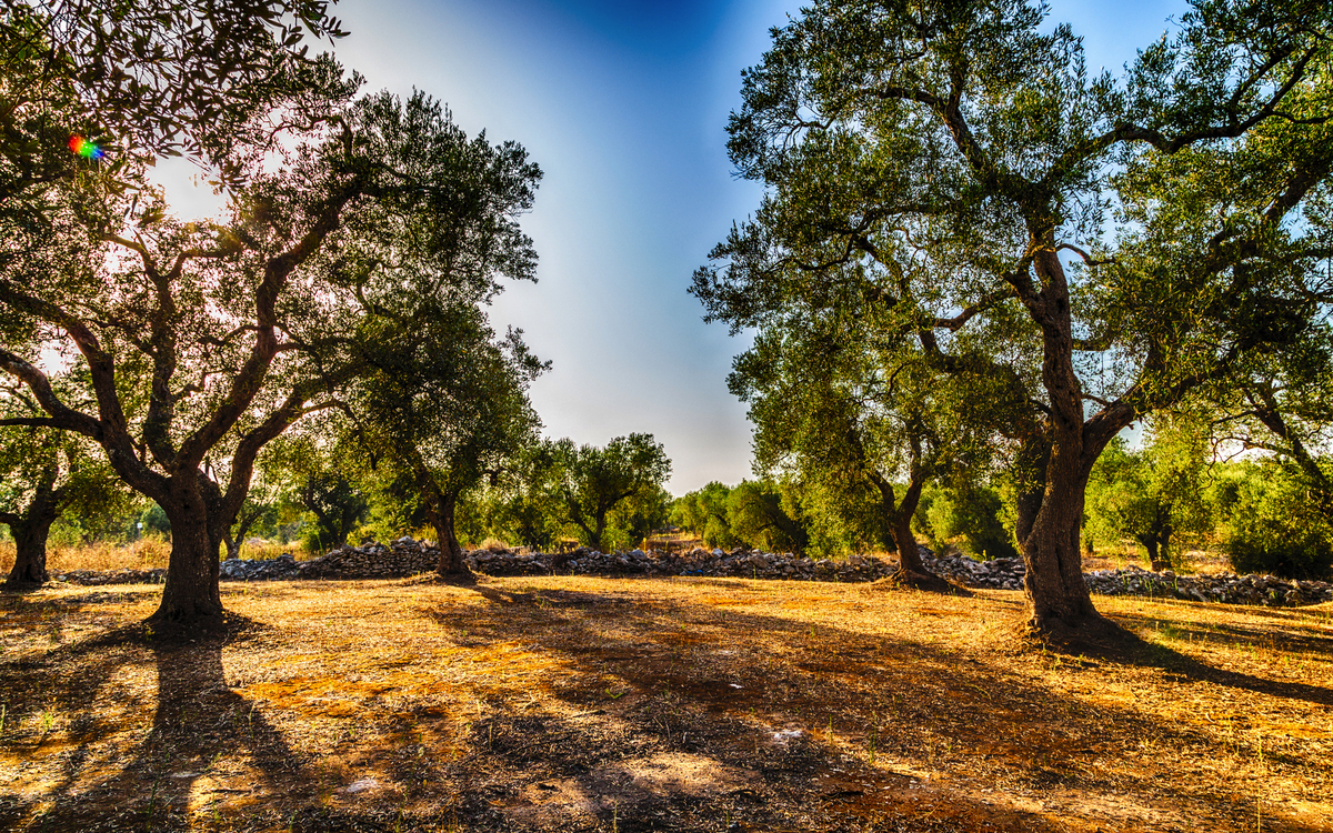 © Vivida Photo PC/Shutterstock