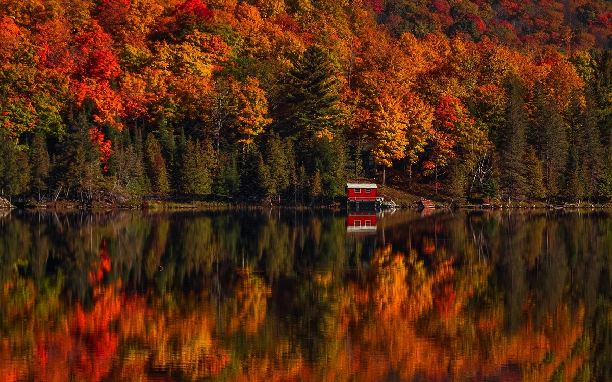 © Fiona M. Donnelly/Shutterstock