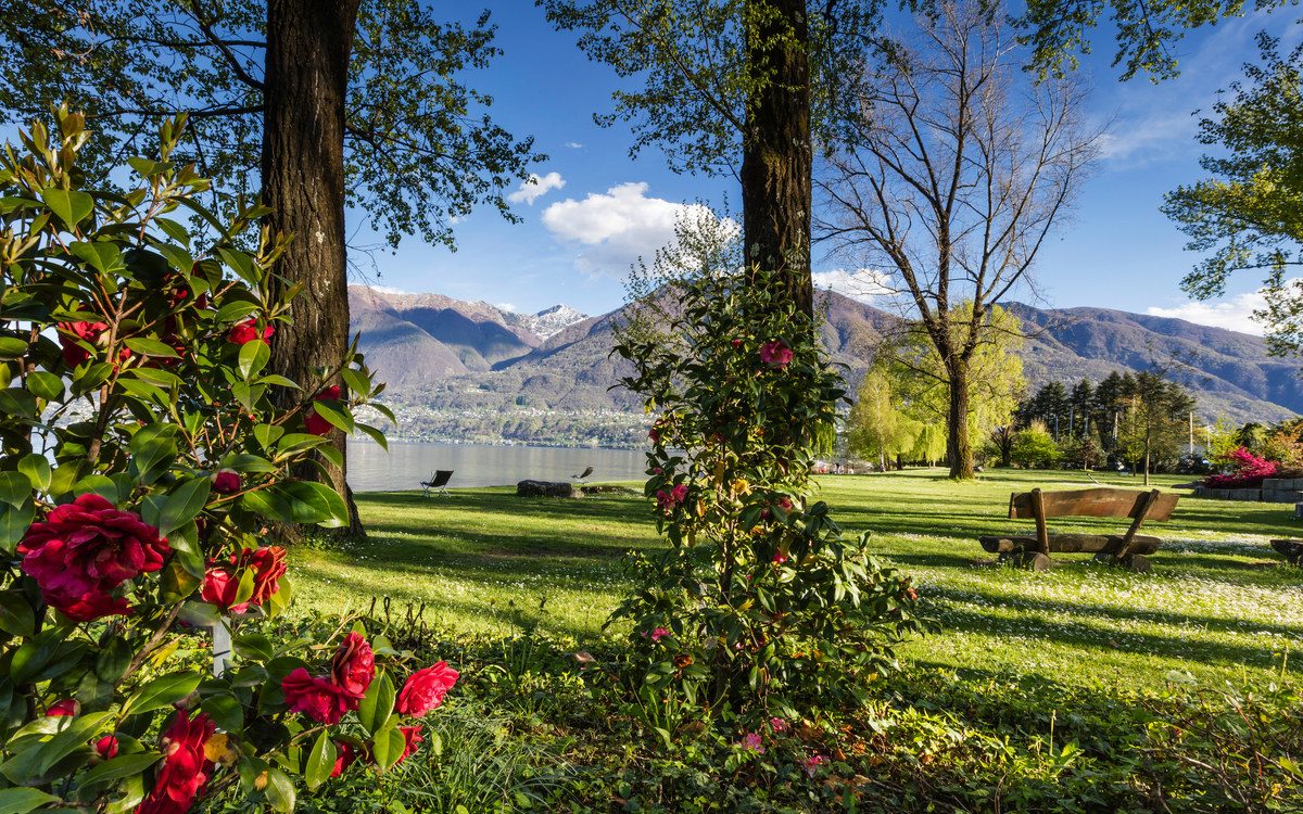 © Ascona-Locarno Tourism/Alessio Pizzicannella