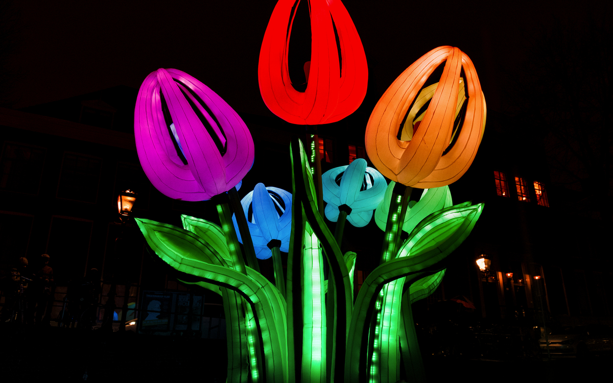 © Rosanne de Vries/Shutterstock