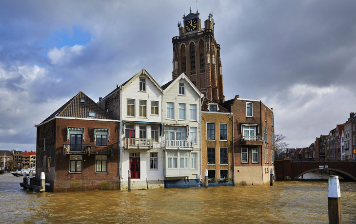 © R. de Bruijn_Photography/Shutterstock