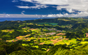 © DaLiu/Shutterstock
