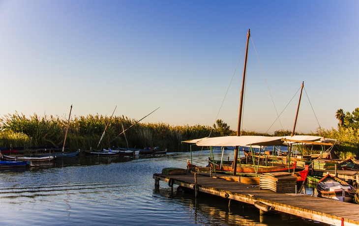 © MiniMoon Photo/Shutterstock