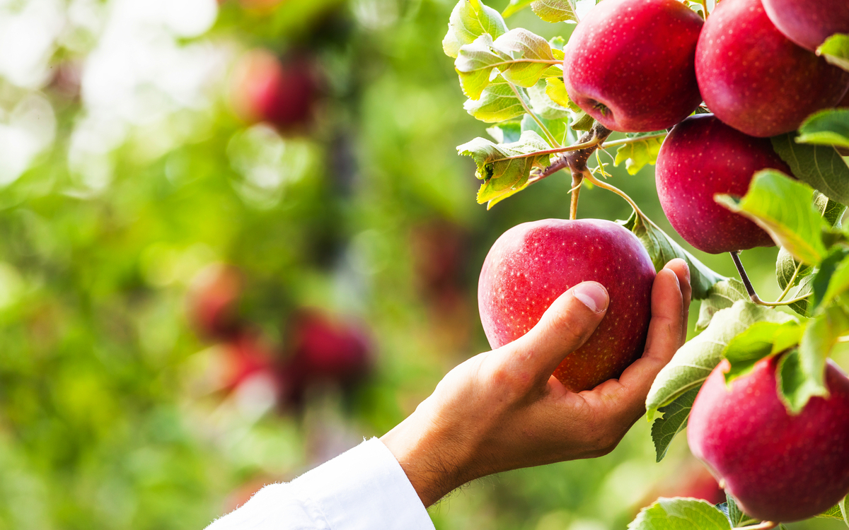 © Lukasz Szwaj/Shutterstock