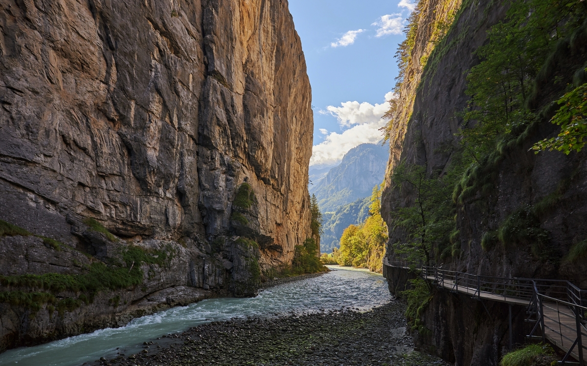 © Wirestock Creators/Shutterstock