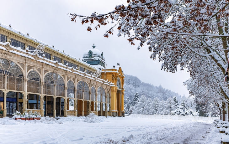 © Jiri Vanicek/Shutterstock