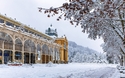 © Jiri Vanicek/Shutterstock