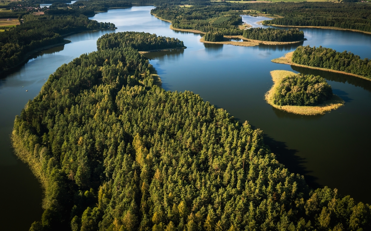 © Curioso.Photography/Shutterstock