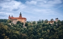© Maciej Kosmala/Shutterstock