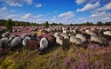©RuZi - stock.adobe.com
