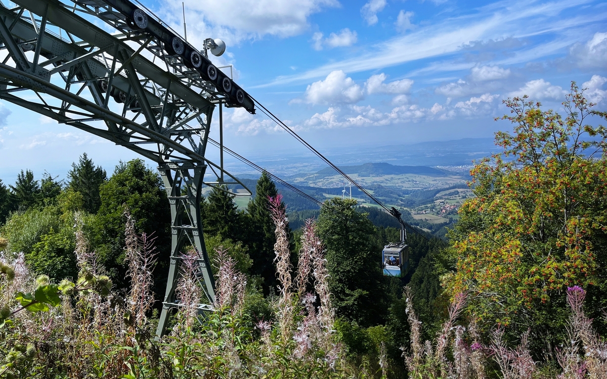 © Studio Saffron Art/Shutterstock