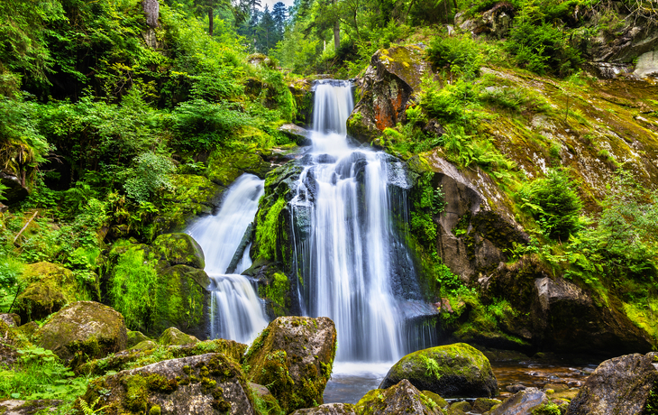 © Leonid Andronov/Shutterstock