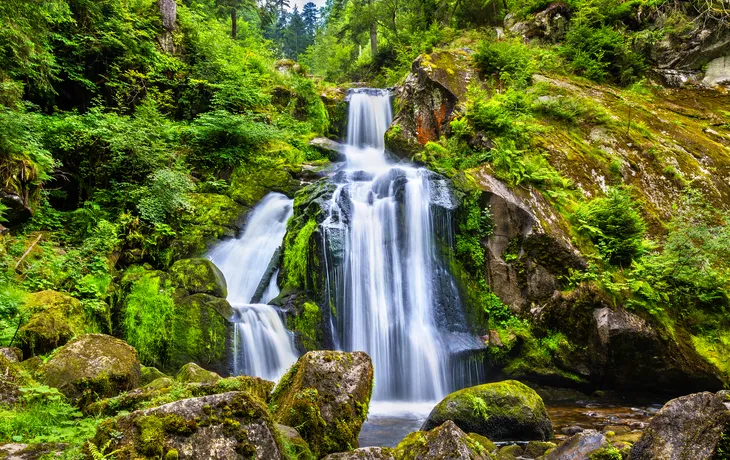 © Leonid Andronov/Shutterstock