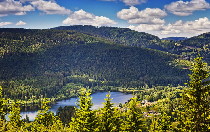 Schluchsee im Schwarzwald - © karp5 - stock.adobe.com