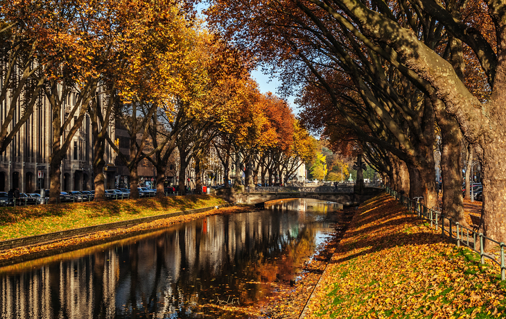 © Zyankarlo/Shutterstock