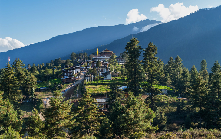 © UlyssePixel/Shutterstock