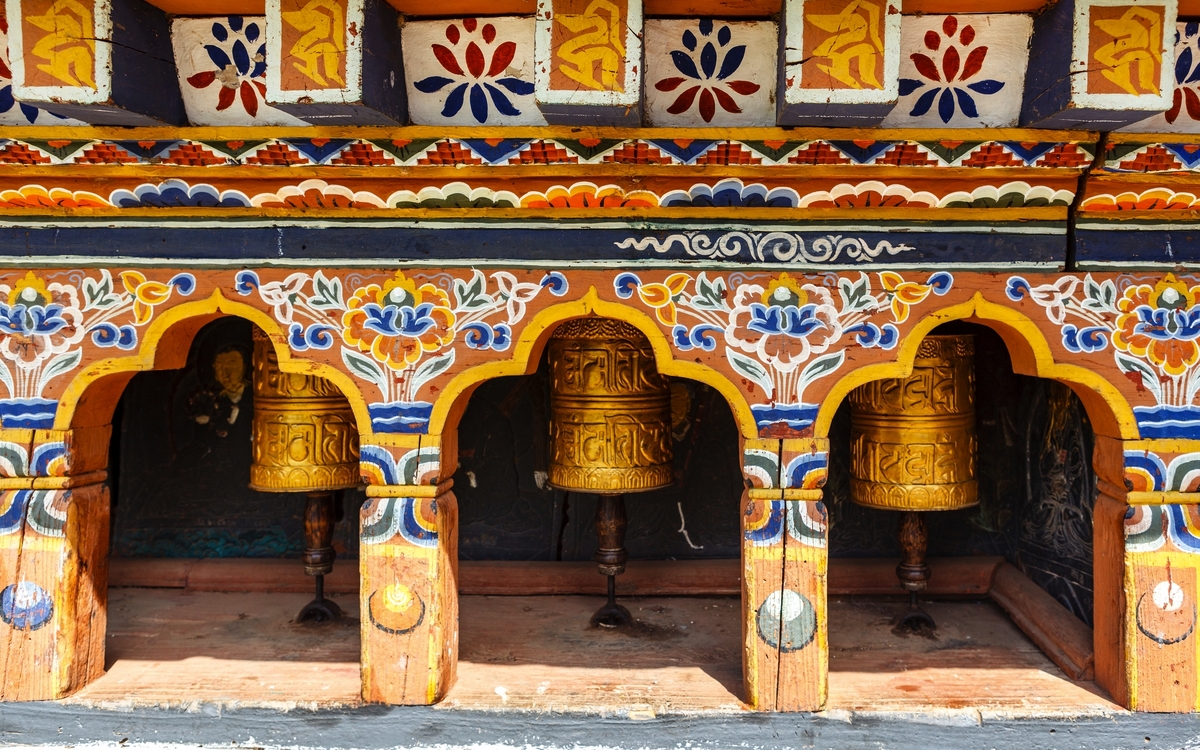 © Jan Willem van Hofwegen/Shutterstock