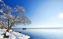 © Sven Fuchs - stock.adobe.com